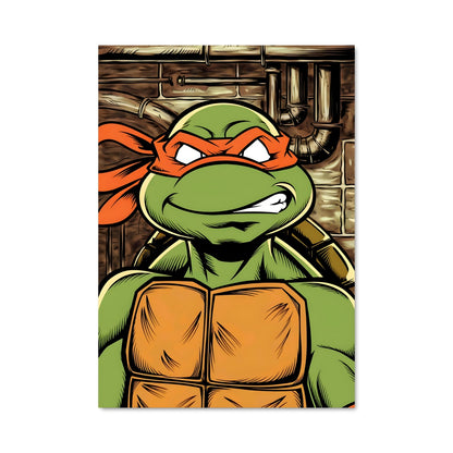 Poster La Tortue Étoilée