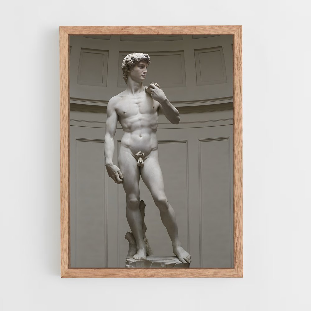 ap-michelangelo-3 cadre Bois clair