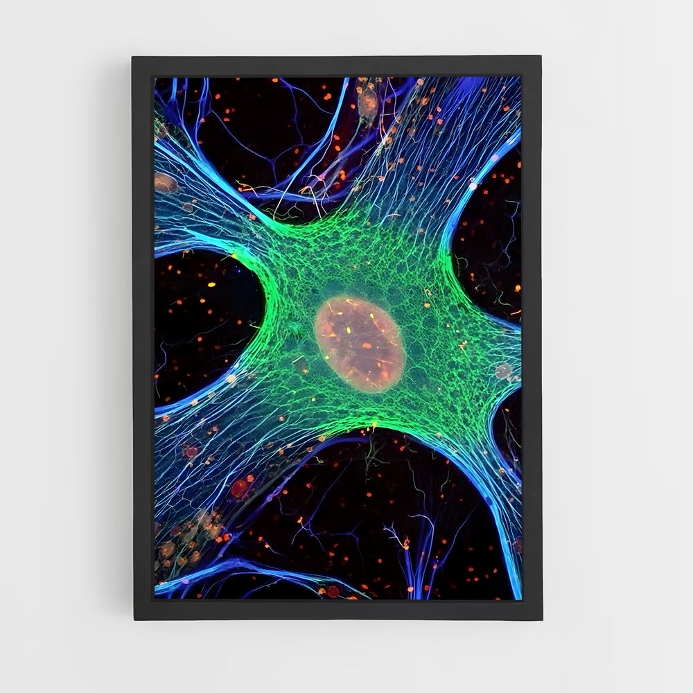 ap-microscope-2 cadre Noir