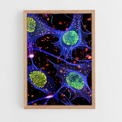 ap-microscope-8 cadre Bois clair