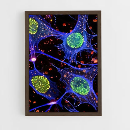 ap-microscope-8 cadre Bois foncé