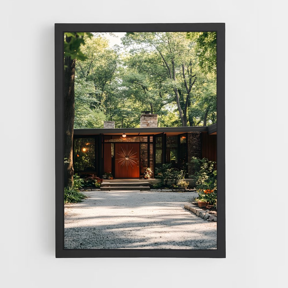 ap-mid-century modern architecture-16 cadre Noir