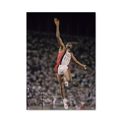 Poster Saut de Mike