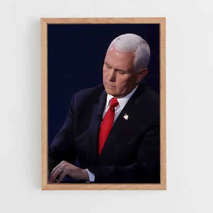 ap-mike pence-2 cadre Bois clair