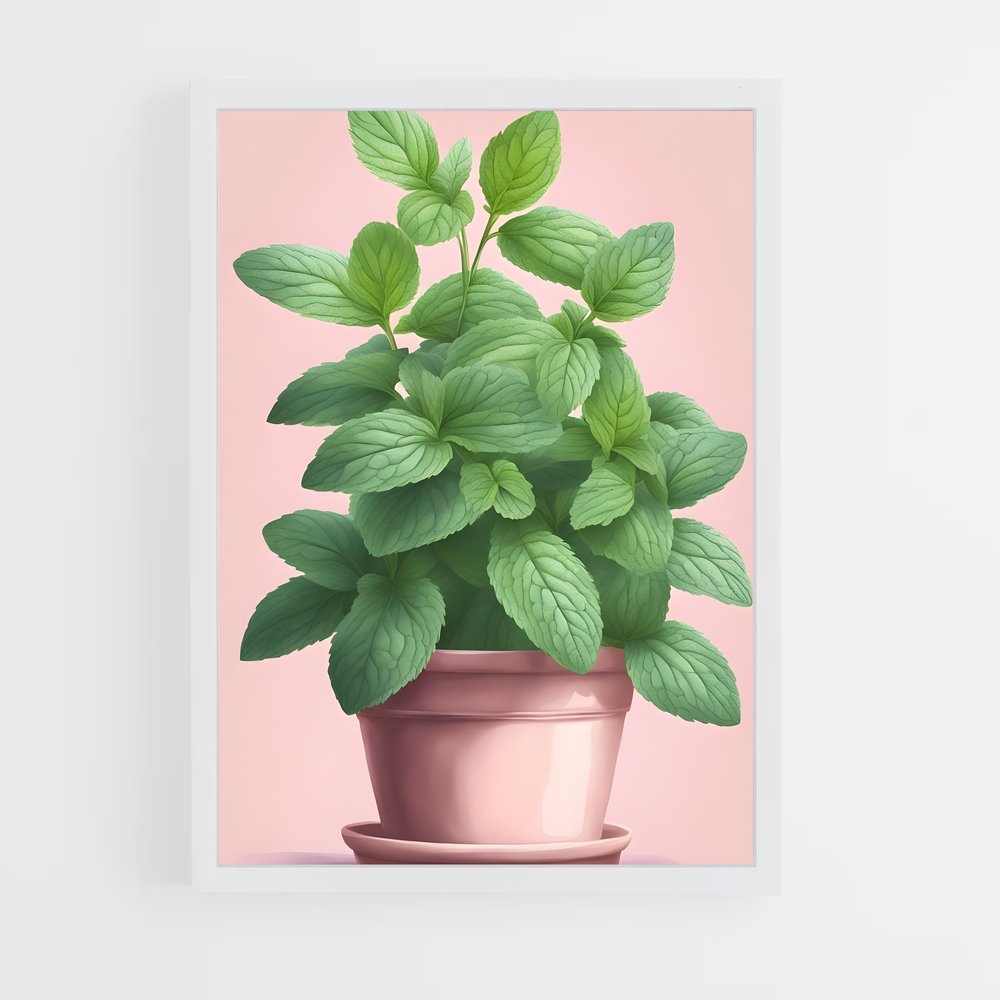 ap-mint-1 cadre Blanc
