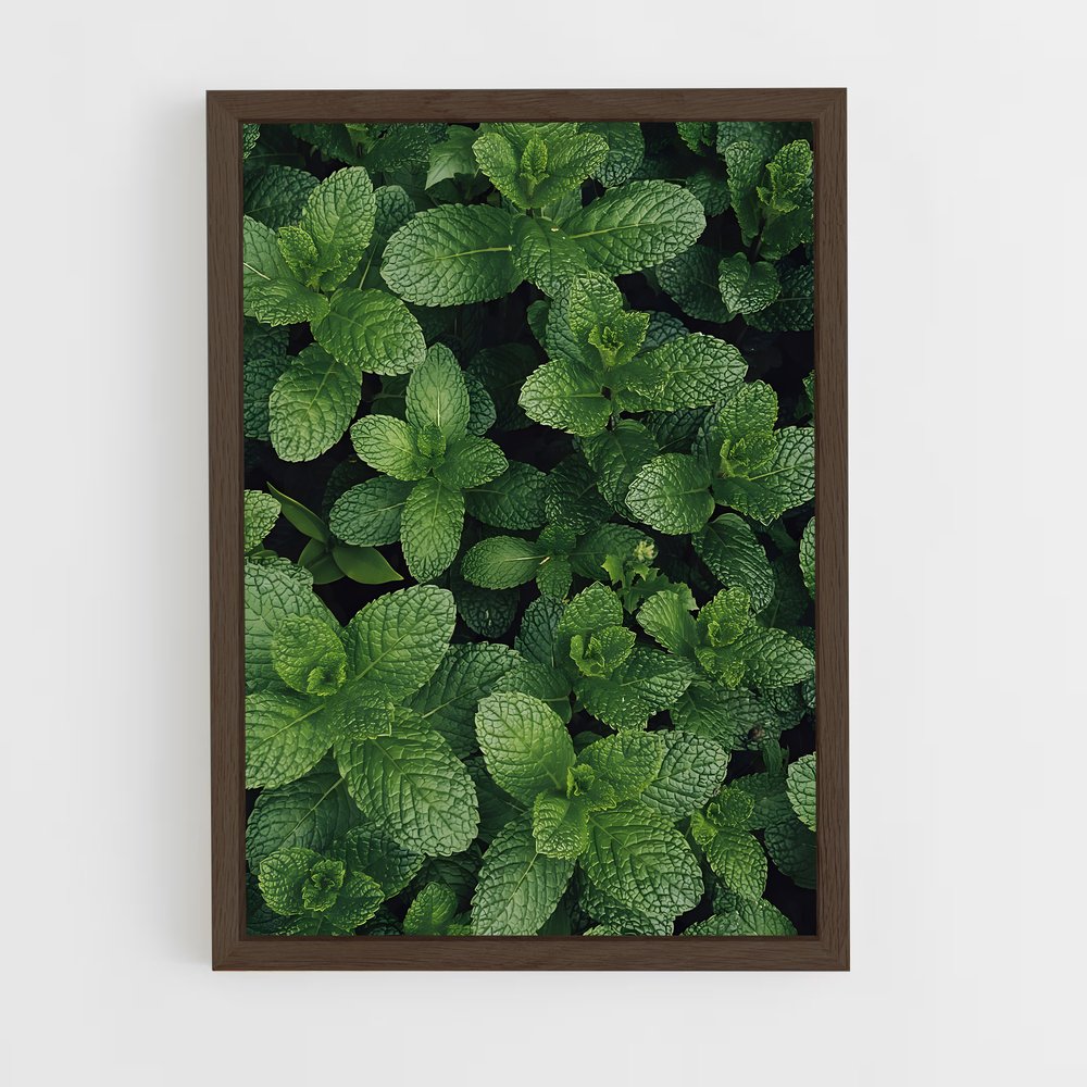 ap-mint-2 cadre Bois foncé