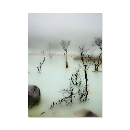 Poster L'Écho des Arbres Morts