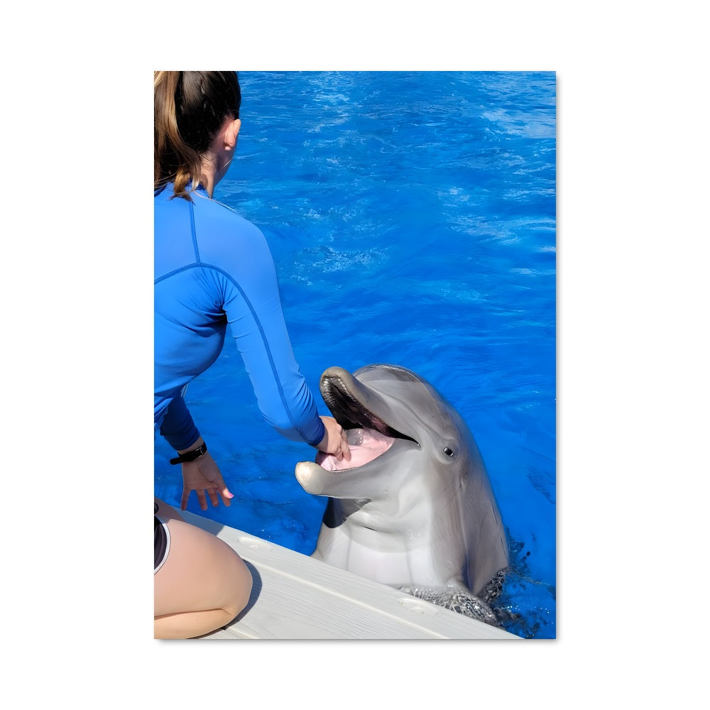 Poster Danse avec les Dauphins