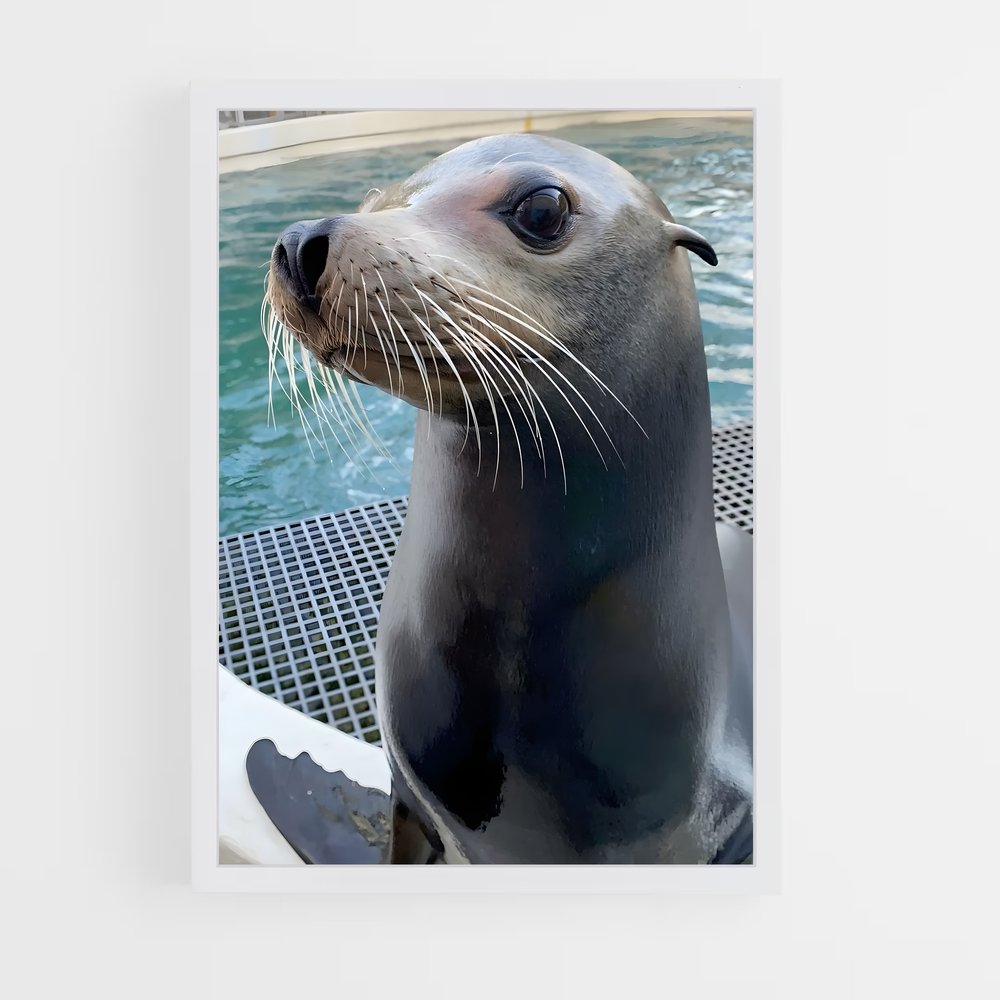 ap-moheli marine park-3 cadre Blanc