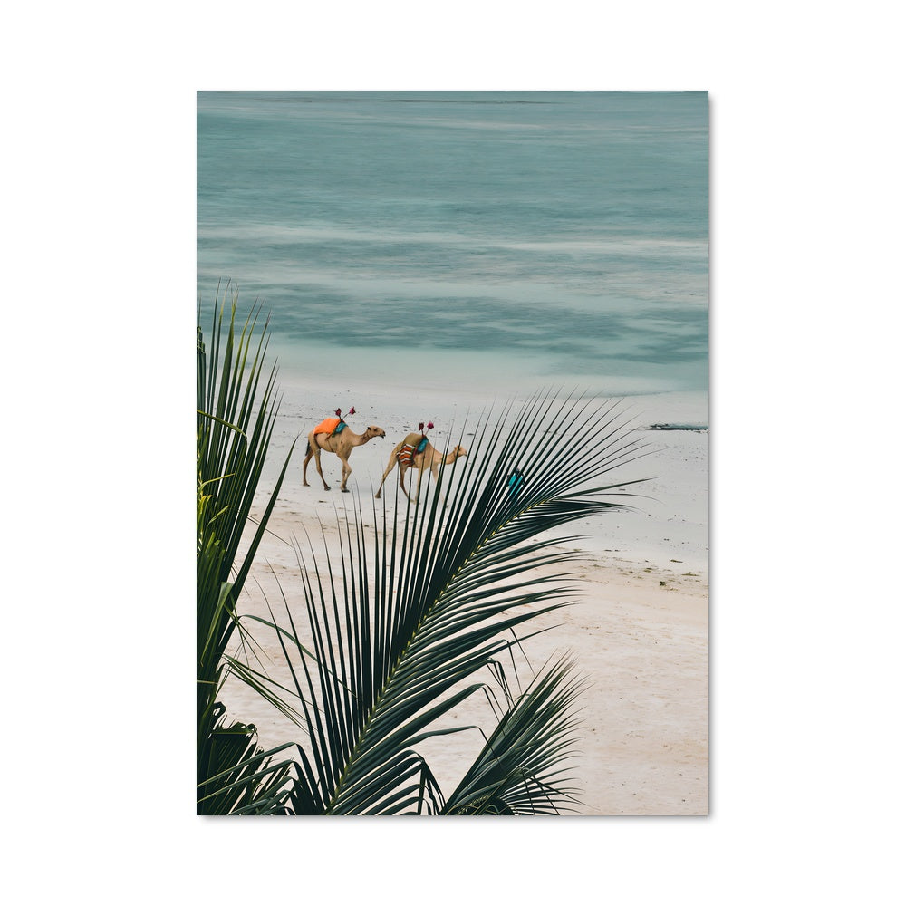 Poster Chien de Plage