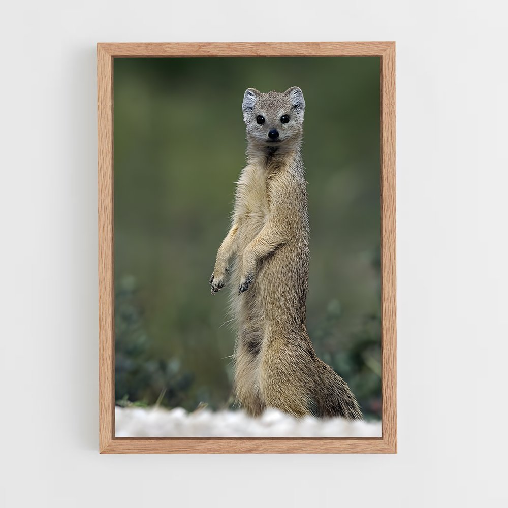 ap-mongoose-1 cadre Bois clair