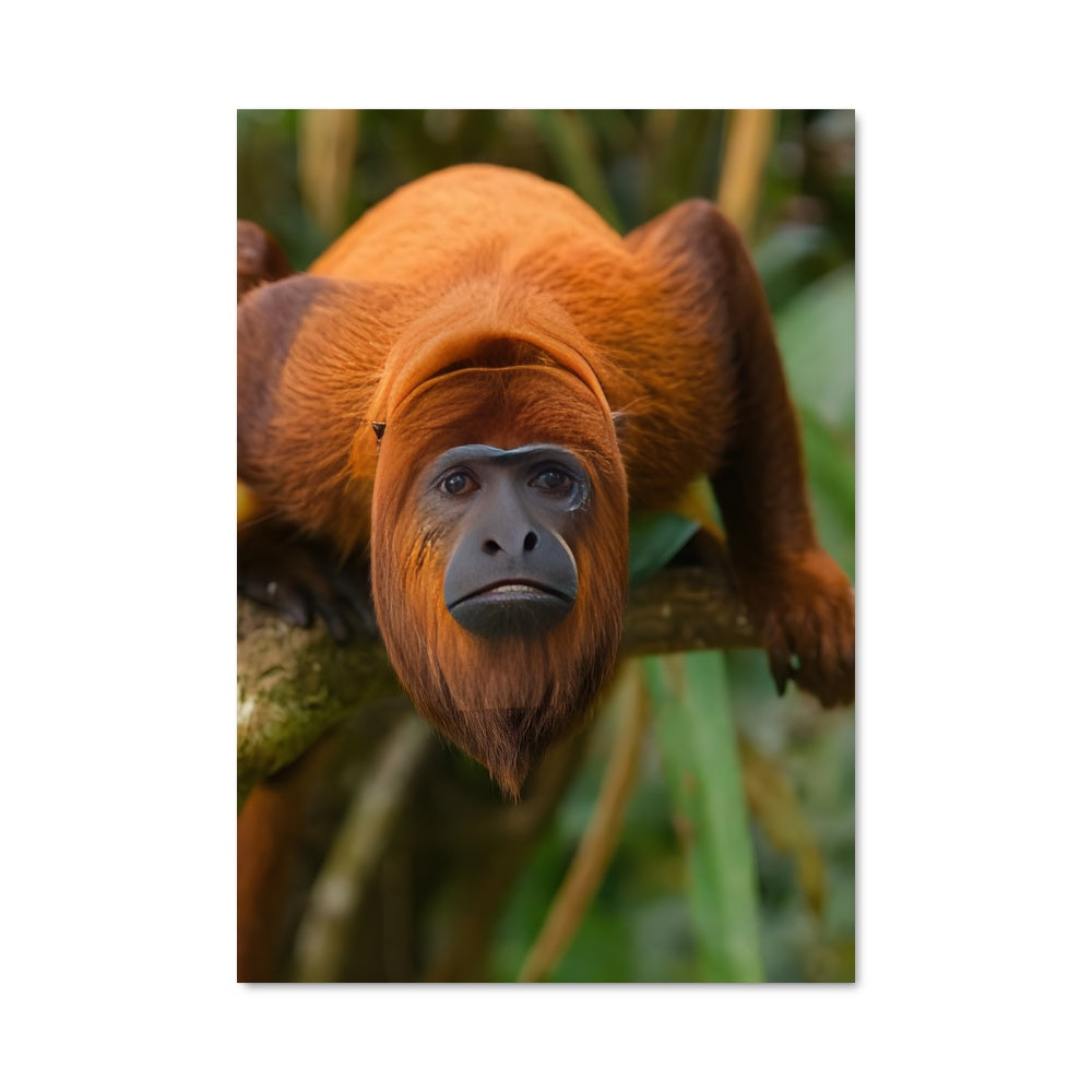 Poster Singe Sauvage