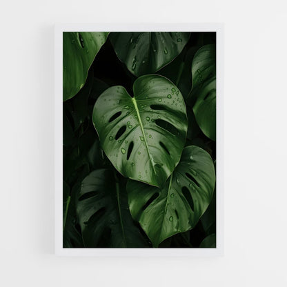 ap-monstera-1 cadre Blanc