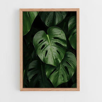 ap-monstera-1 cadre Bois clair