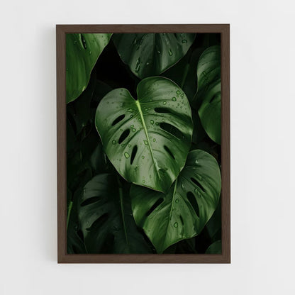 ap-monstera-1 cadre Bois foncé