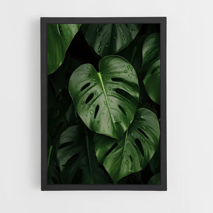 ap-monstera-1 cadre Noir