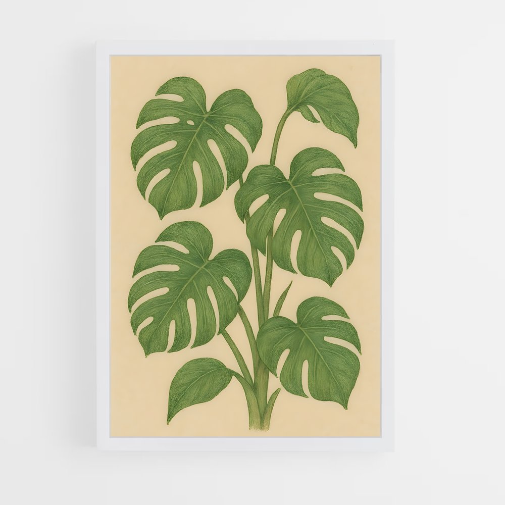 ap-monstera-4 cadre Blanc