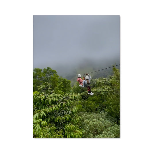 Poster Saut entre les Arbres