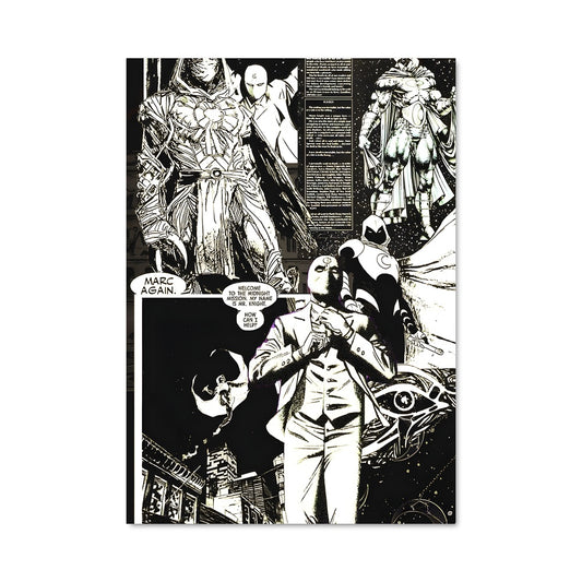 Poster Les Chroniques de la Chatte Noire