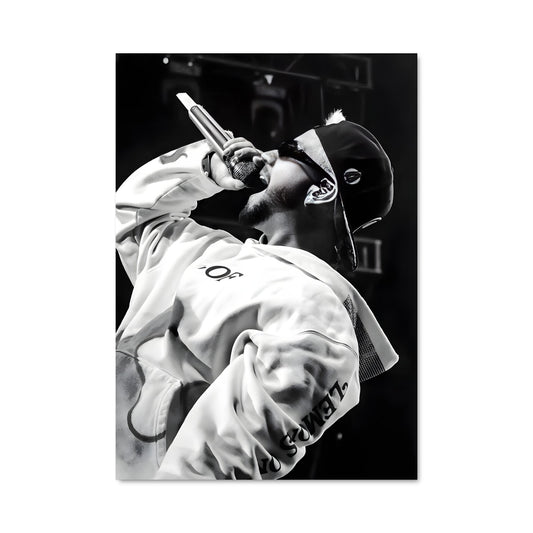 Poster The Performer
