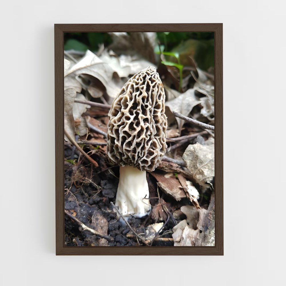 ap-morel-2 cadre Bois foncé