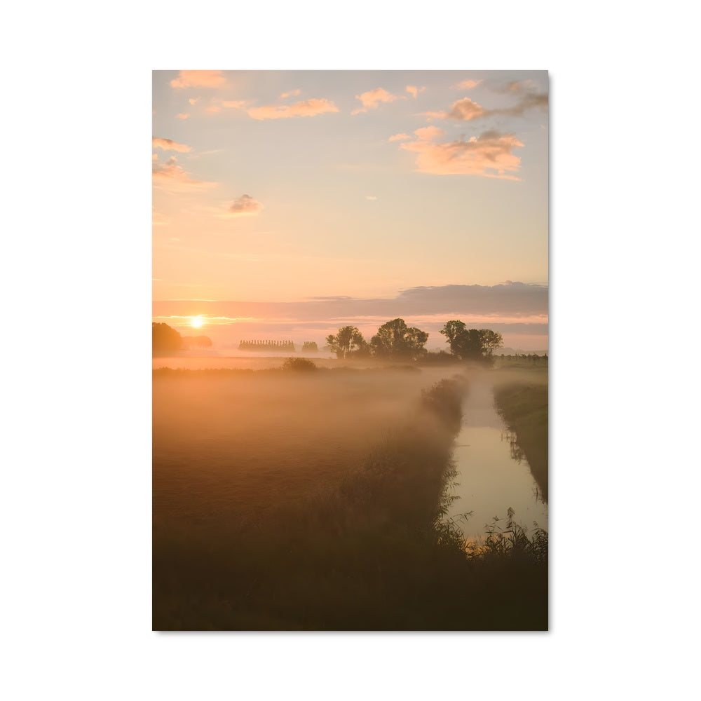 Poster Morning mist 94702