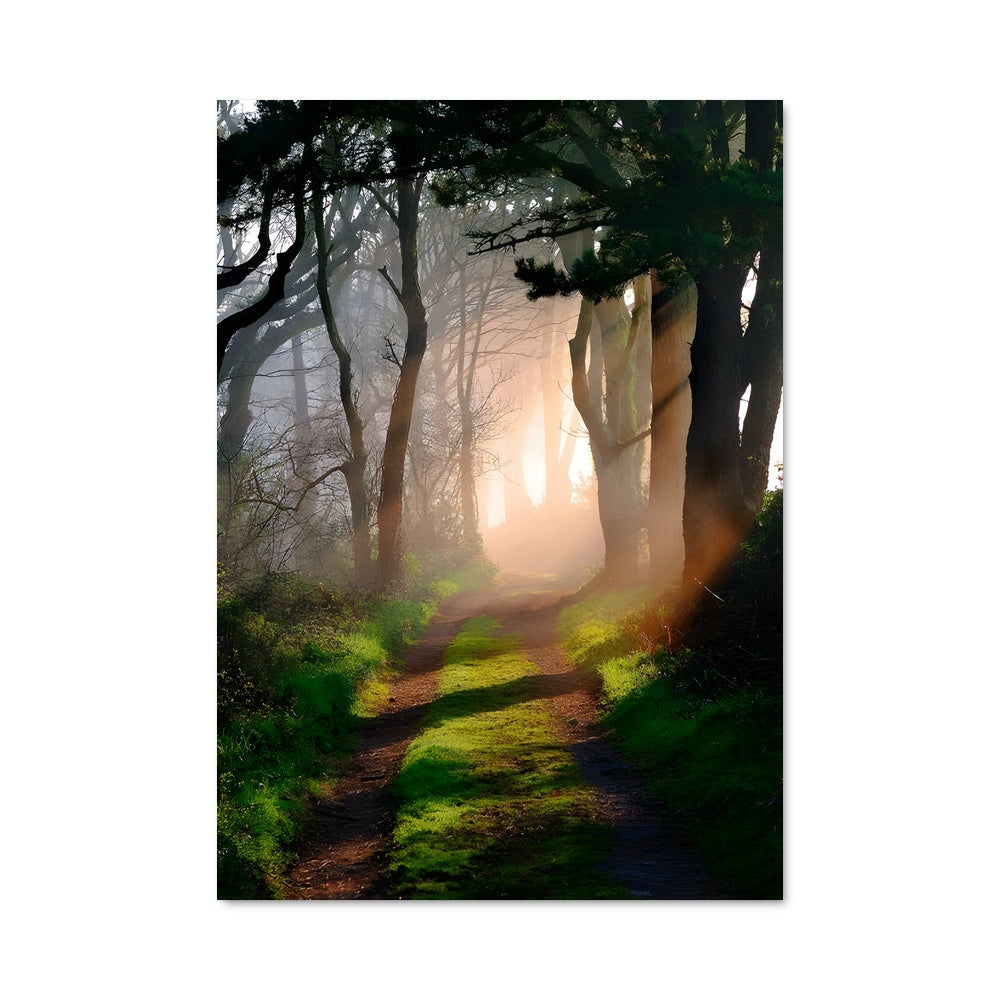 Poster Sentiers Brumeux