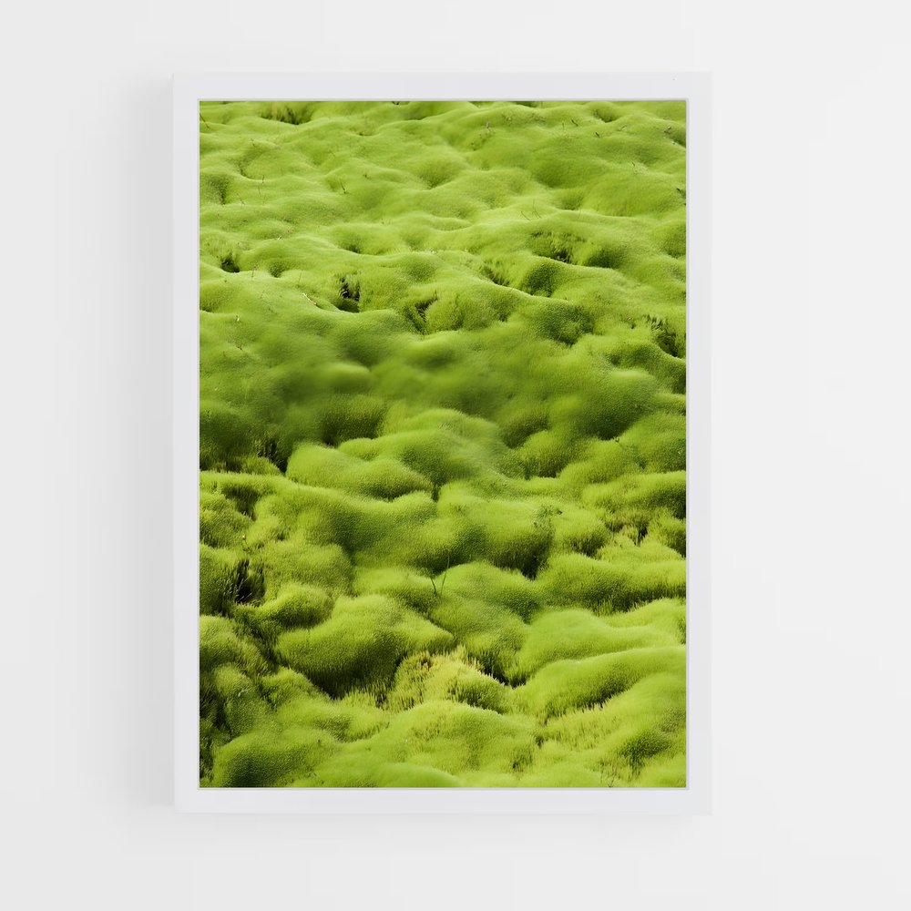 ap-moss-10 cadre Blanc