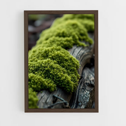 ap-moss-2 cadre Bois foncé