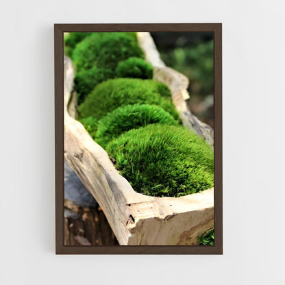 ap-moss-9 cadre Bois foncé