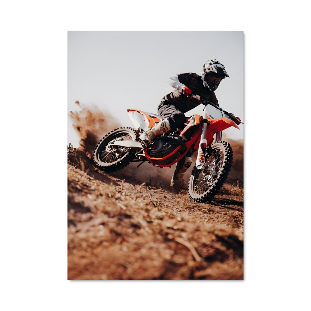 Poster Le Saut Libre