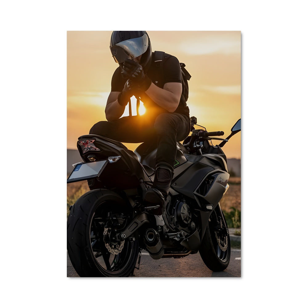 Poster Riding the Edge
