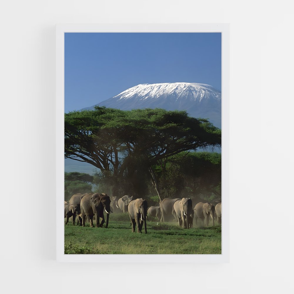 ap-mount kenya-1 cadre Blanc