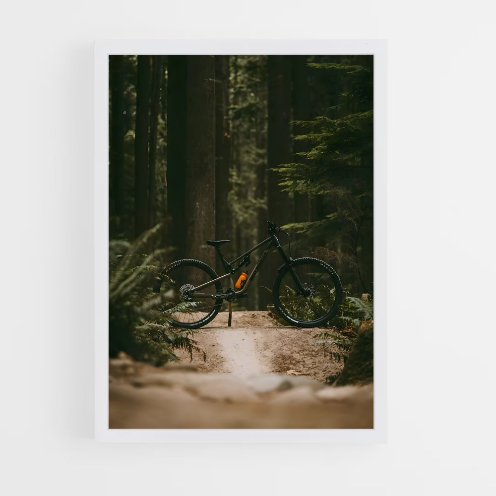 ap-mountain biking-9 cadre Blanc