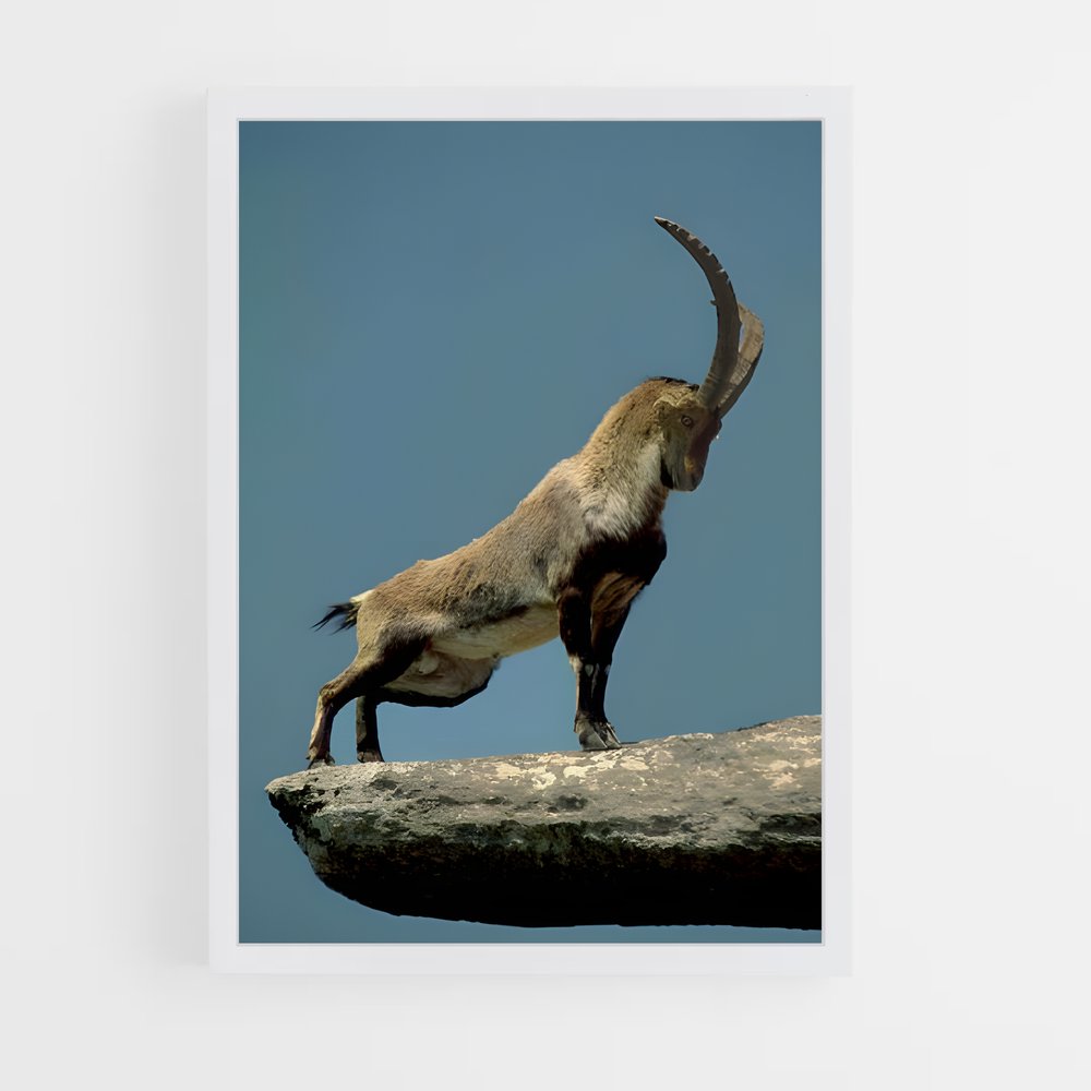 ap-mountain goat-2 cadre Blanc
