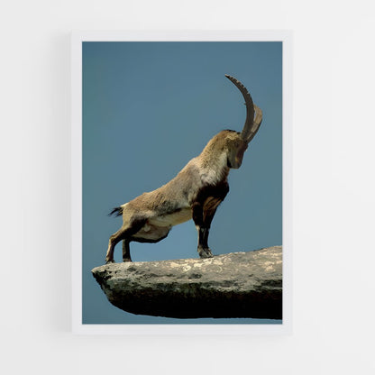 ap-mountain goat-2 cadre Blanc