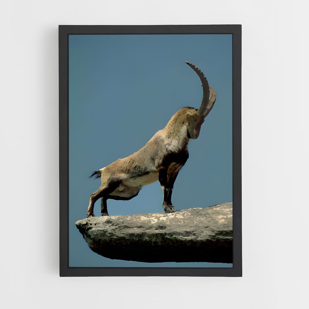 ap-mountain goat-2 cadre Noir