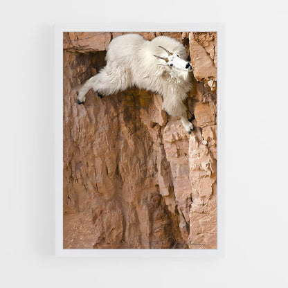 ap-mountain goat-3 cadre Blanc