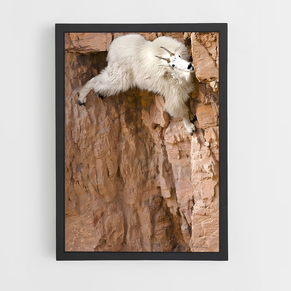 ap-mountain goat-3 cadre Noir
