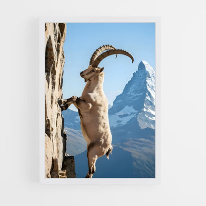 ap-mountain goat-6 cadre Blanc