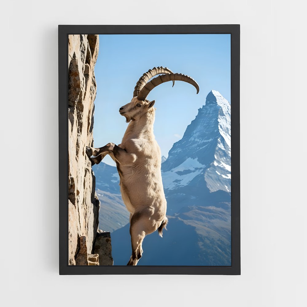 ap-mountain goat-6 cadre Noir