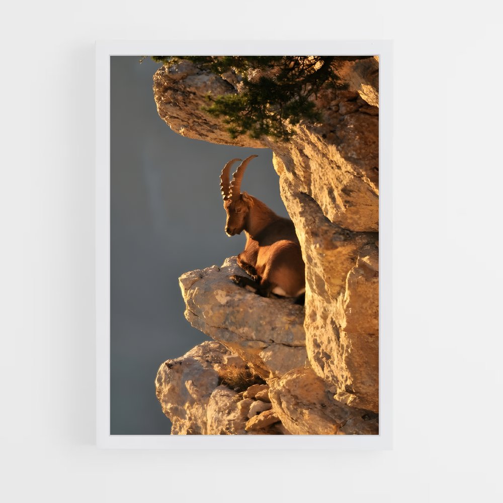ap-mountain goat-7 cadre Blanc