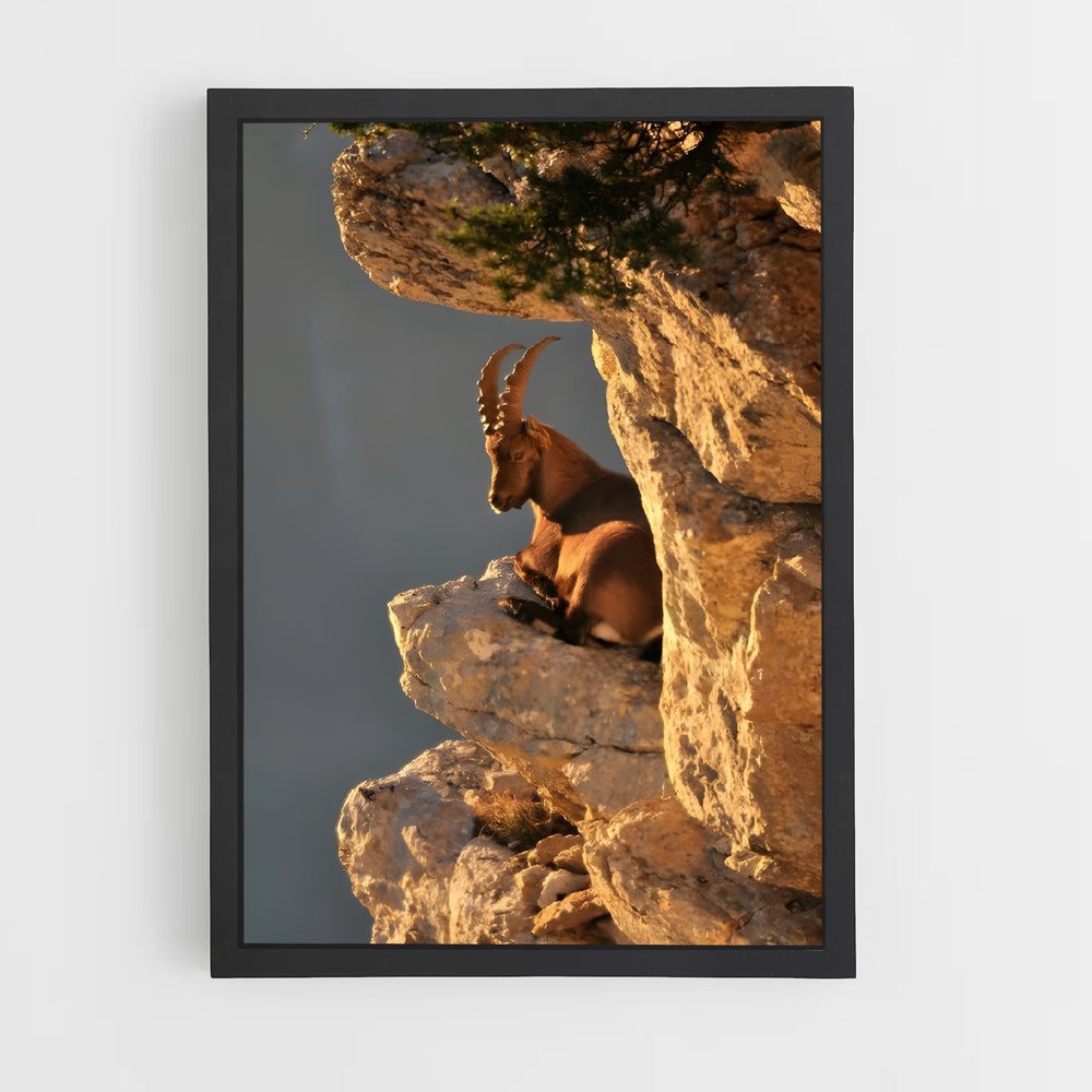 ap-mountain goat-7 cadre Noir