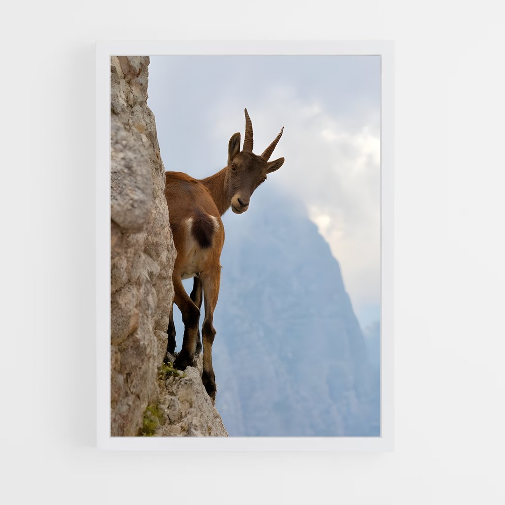 ap-mountain goat-8 cadre Blanc