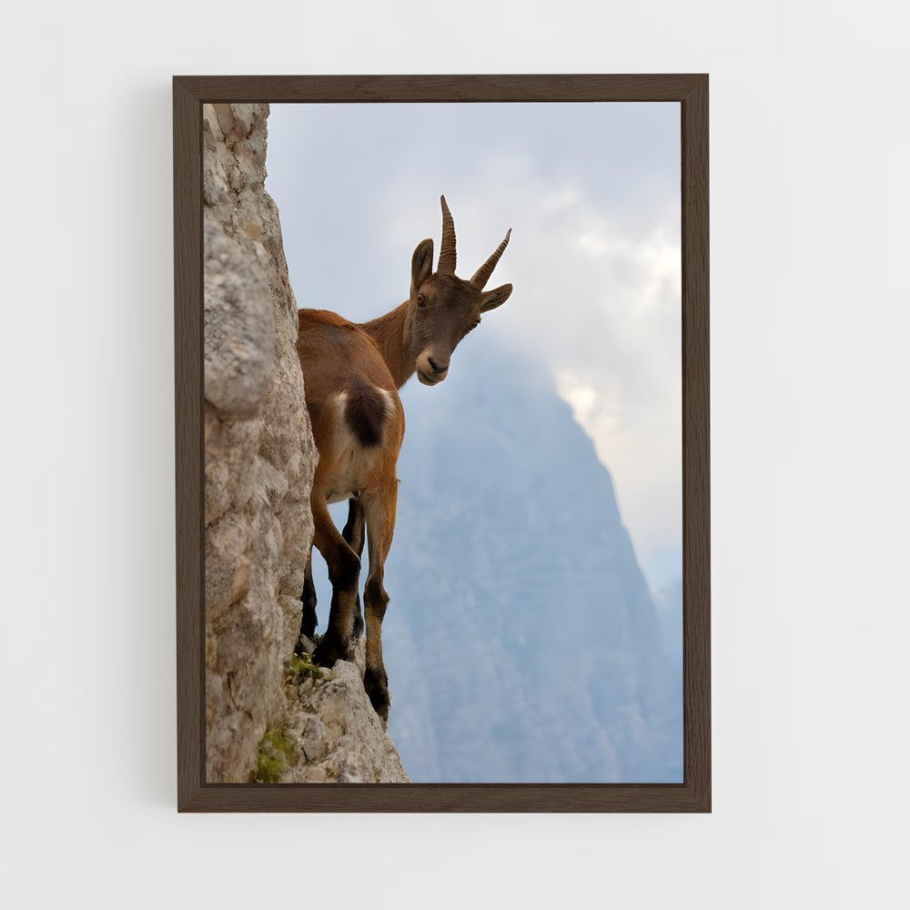 ap-mountain goat-8 cadre Bois foncé