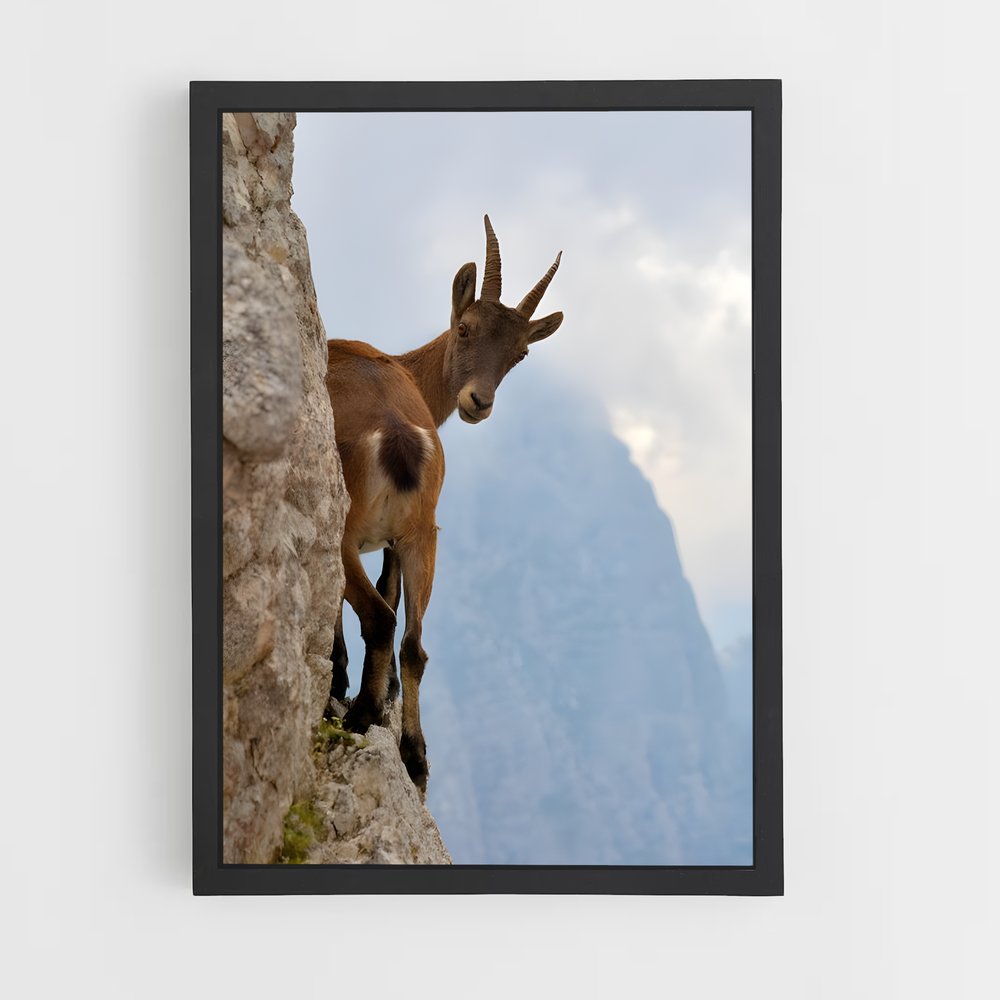 ap-mountain goat-8 cadre Noir