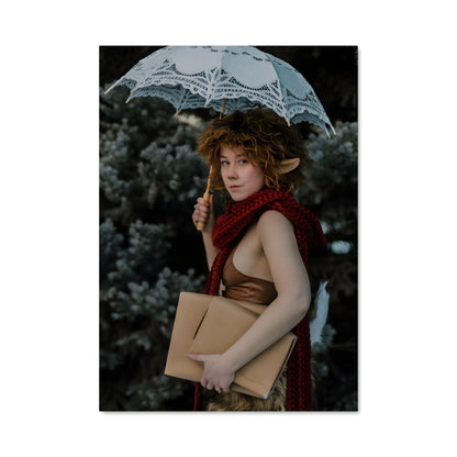 Poster Mr tumnus 36042