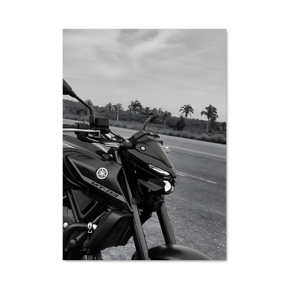 Poster Mt-03 82870