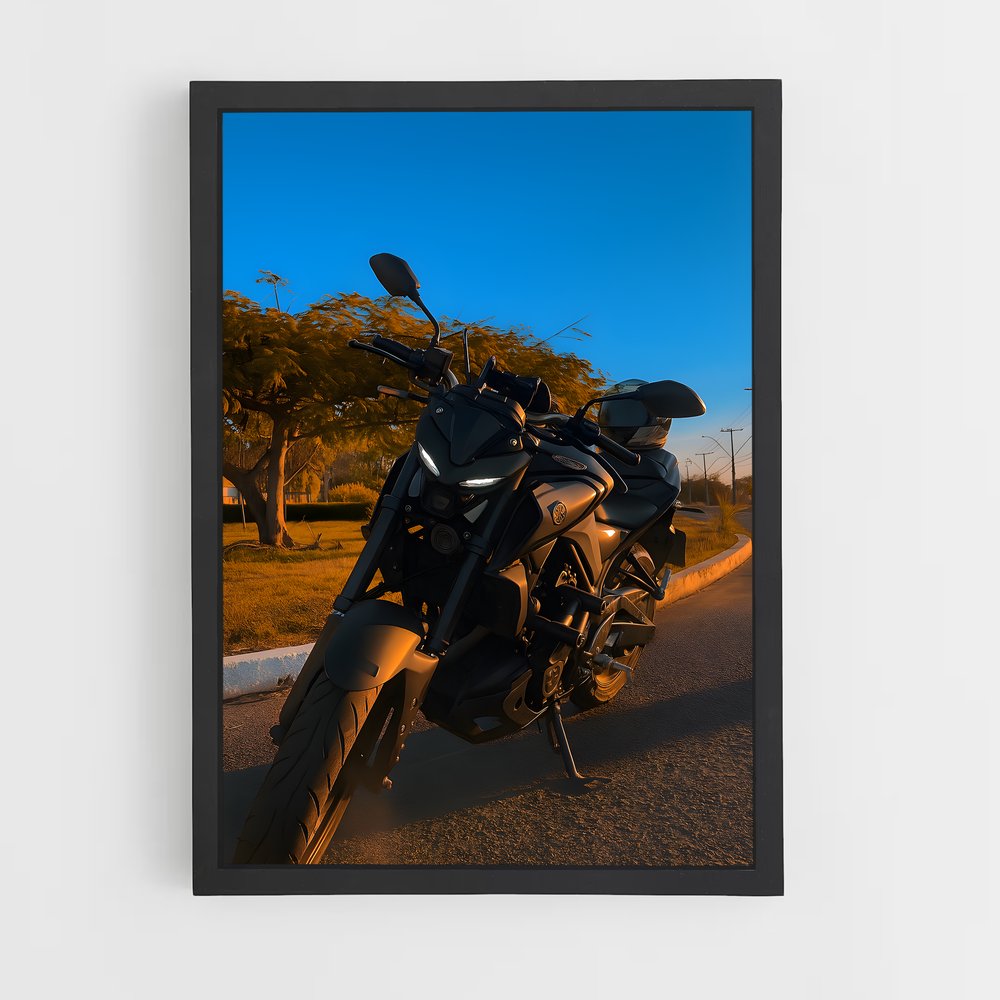 ap-mt-03-6 cadre Noir