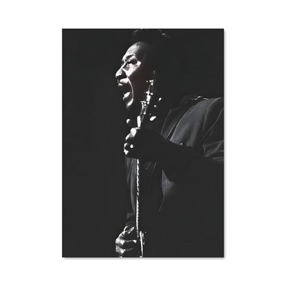 Poster Voice of the Blues